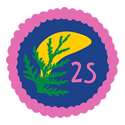 A colorful round illustration labelled '2S'