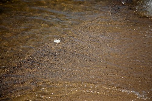 No Vacant Wild, North Bay, 2019, Photo: Anyse Ducharme