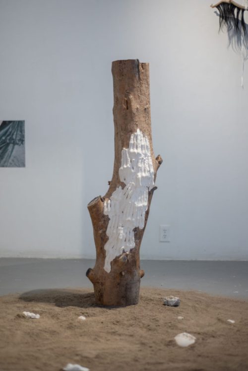 Hold, the body as a fever dream, Xpace, 2020